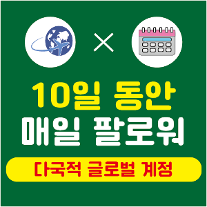 인스타 팔로워 구매 × 10일 (외국인)